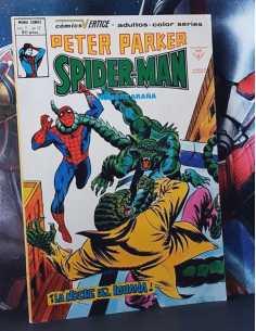 CASI EXCELENTE ESTADO PETER PARKER 17 SPIDER-MAN GRAPA...