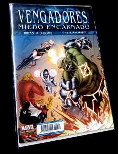 DE KIOSCO VENGADORES MIEDO ENCARNADO 14 PANINI GRAPA