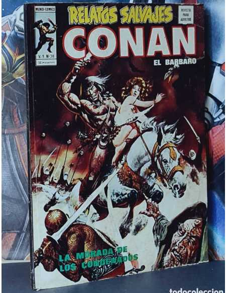 MUY BUEN ESTADO RELATOS SALVAJES 38 CONAN LA MORADA DE LOS CONDENADOS GRAPA VERTICE