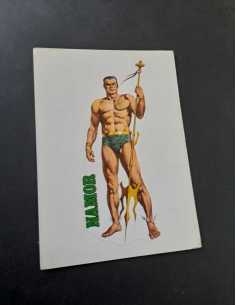 EXCELENTE ESTADO NAMOR CROMO 13,5x9,5 CALCOMANIA ORTEGA