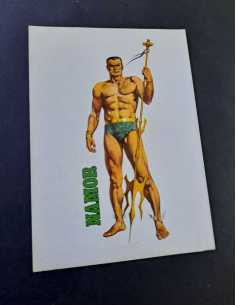 EXCELENTE ESTADO NAMOR CROMO 13,5x9,5 CALCOMANIA ORTEGA