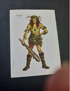 EXCELENTE ESTADO TREEMAN CROMO 13,5x9,5 CALCOMANIA BRUGUERA