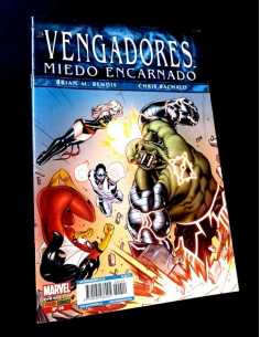 EXCELENTE ESTADO VENGADORES MIEDO ENCARNADO 14 PANINI...