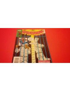 SPIDERMAN 221 EXCELENTE ESTADO FORUM