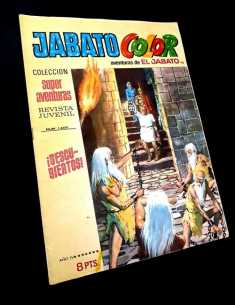 MUY BUEN ESTADO JABATO COLOR 110 COLECCION SUPER...