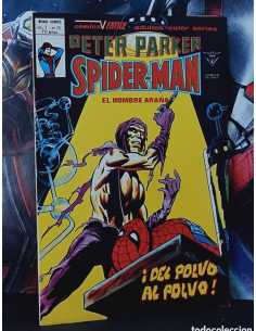 EXCELENTE ESTADO PETER PARKER 15 DEL POLVO AL POLVO...