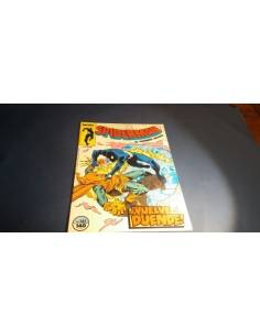 SPIDERMAN 141 EXCELENTE ESTADO FORUM