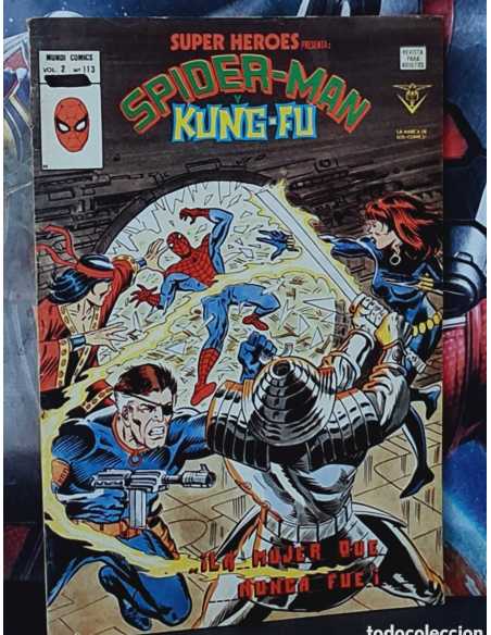 BUEN ESTADO SUPER HEROES 113 VOL II LA MUJER QUE NUNCA FUE GRAPA VERTICE
