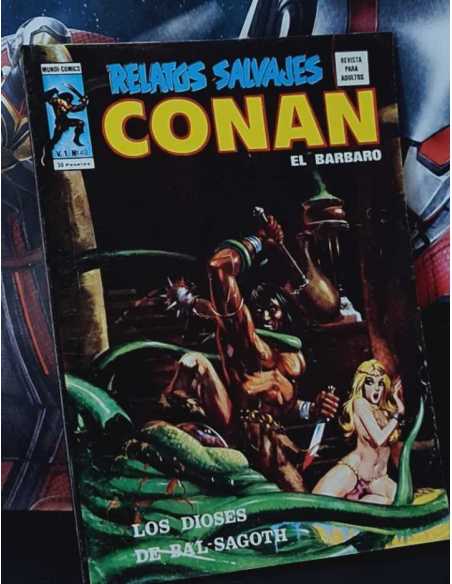 EXCELENTE ESTADO RELATOS SALVAJES 40 CONAN LOS DIOSES DE BAL-SAGOTH GRAPA VERTICE