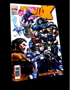 DE KIOSCO PATRULLA X 110 PANINI COMICS GRAPA