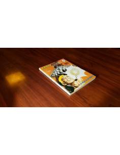 KELLY 15 EXCELENTE ESTADO 40 VERTICE TACO