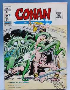 EXCELENTE CONAN 5 EL DEMONIO DEL VALLE SOMBRIO VOL2 GRAPA...
