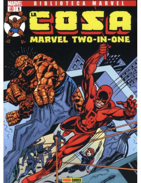 EXCELENTE ESTADO COMPLETA BIBLIOTECA LA COSA PANINI COLECCION MARVEL COMICS