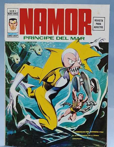 MUY BUEN ESTADO NAMOR 2 VOL2 GRAPA VOLUMEN VOL.2 EDICIONES VERTICE