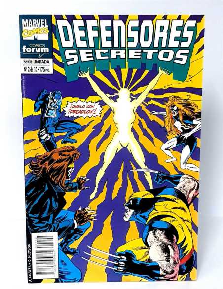 EXCELENTE ESTADO DEFENSORES SECRETOS 2 FORUM COMICS GRAPA