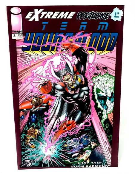 DE KIOSCO TEAM YOUNGBLOOD 5 IMAGE PLANETA COMICS