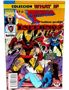 MUY BUEN ESTADO COLECCION WHAT IF 25 COMICS FORUM GRAPA