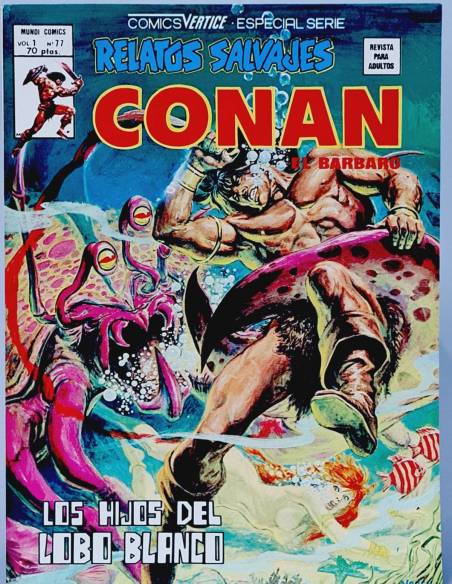 DE KIOSCO RELATOS SALVAJES 77 CONAN COMICS MARVEL VOL1 VOLUMEN VOL.1 VERTICE