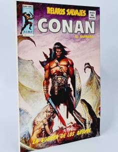 EXCELENTE RELATOS SALVAJES 47 CONAN COMICS MARVEL VOL1...