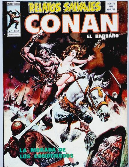 DE KIOSCO RELATOS SALVAJES 38 CONAN COMICS MARVEL VOL1 VOLUMEN VOL.1 VERTICE