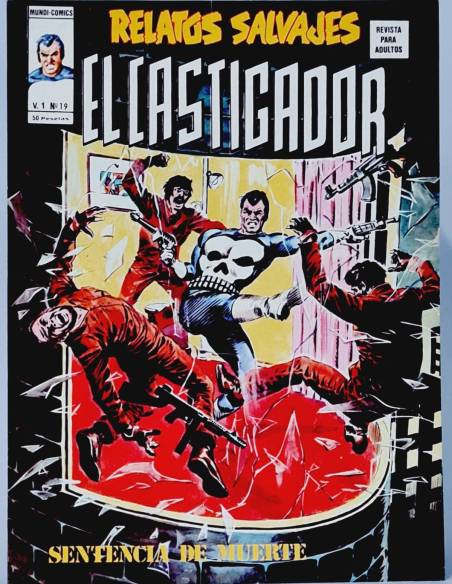 DE KIOSCO RELATOS SALVAJES 19 EL CASTIGADOR COMICS MARVEL VOL1 VOLUMEN VOL.1 VERTICE