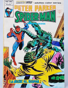 PETER PARKER 17 SPIDER-MAN CÓMICS VERTICE MARVEL...