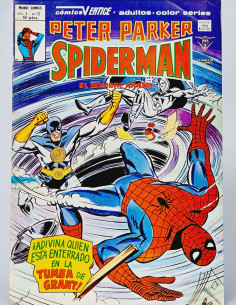 CASI EXCELENTE PETER PARKER 12 SPIDER-MAN CÓMICS VERTICE...