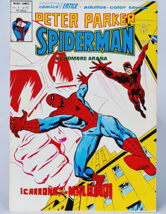CASI EXCELENTE PETER PARKER 13 SPIDER-MAN CÓMICS VERTICE...