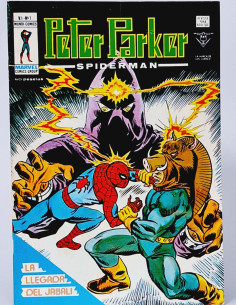 CASI EXCELENTE PETER PARKER 7 SPIDER-MAN CÓMICS VERTICE...