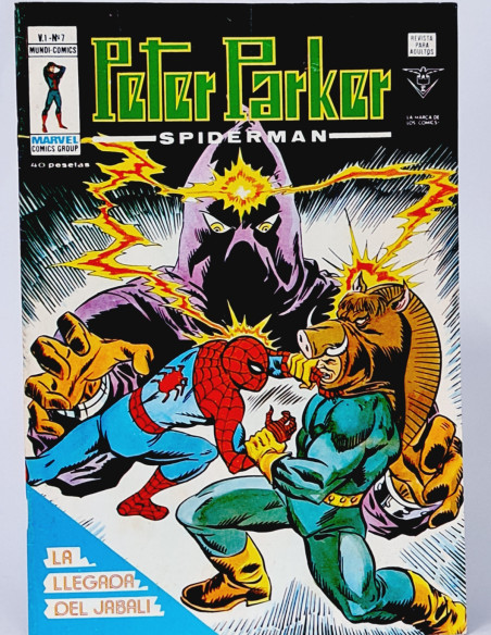 CASI EXCELENTE PETER PARKER 7 SPIDER-MAN CÓMICS VERTICE MARVEL SPIDERMAN LA LLEGADA