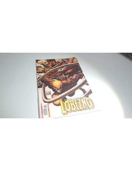 LOBEZNO 24 EXCELENTE ESTADO PANINI