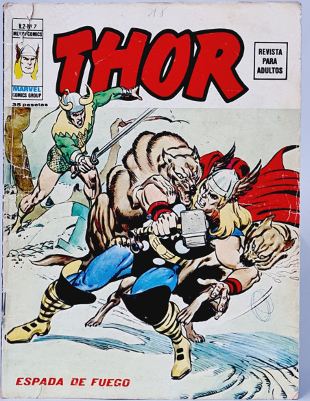 CÓMIC THOR 7 ESPADA DE FUEGO VOL2 EDICIONES VERTICE MARVEL VOL.2 VOLUMEN NORMAL ESTADO