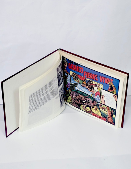 CÓMICS CAZANDO FIERAS VIVAS COLECCIÓN COMPLETA 9 EJEMPLARES FACSIMIL REEDICIÓN ENCUADERNADOS