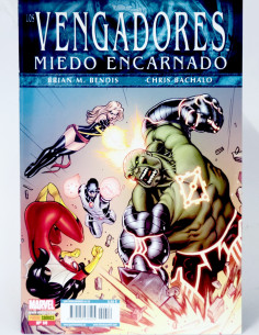 CÓMIC LOS VENGADORES 14 MIEDO ENCARNADO PANINI MARVEL...