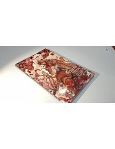 FABLES 12 EXCELENTE ESTADO USA VERTIGO